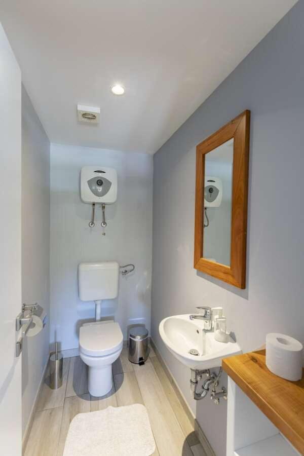 Villa Viscum In Central Istria For 8 Persons With Large Garden - Pet Friendly 파진 외부 사진